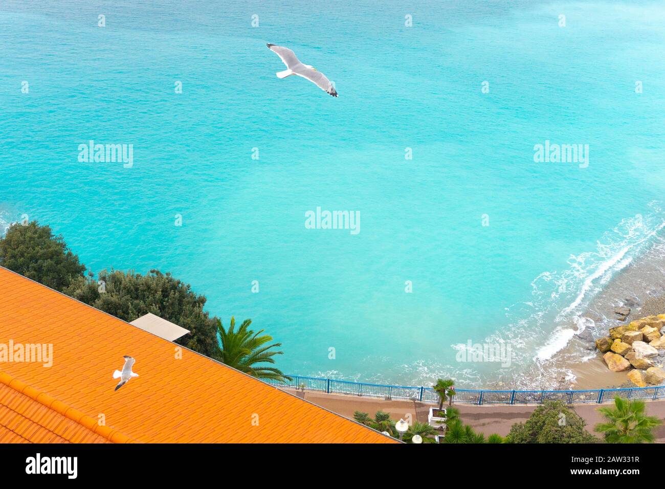Gabbiani che volano sul paesaggio della costa a Nizza. Costa Azzurra Francia. Resort di lusso della costa azzurra. Uccello di mare. Foto Stock
