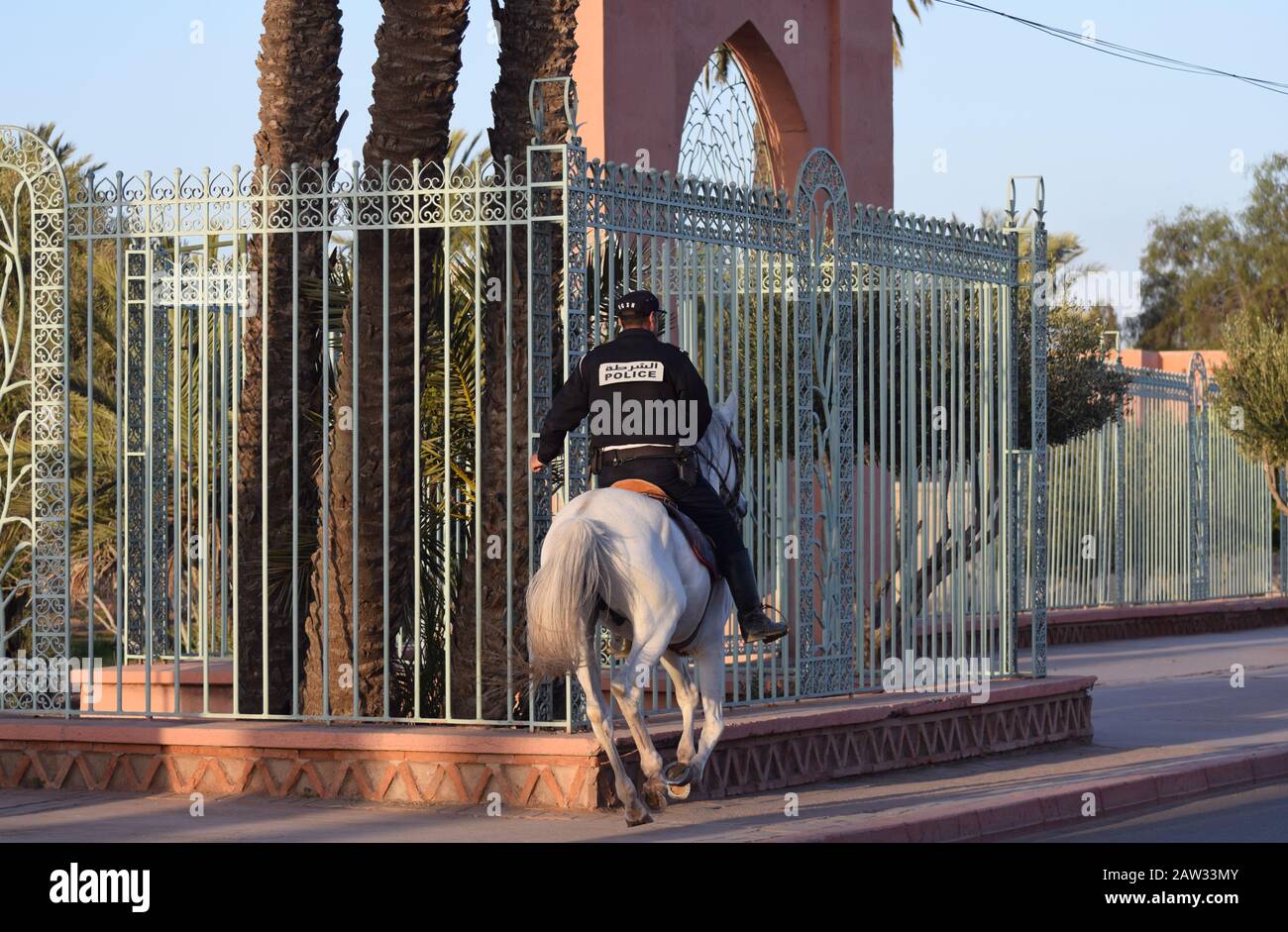 Un funzionario di polizia marocchino ha montato sul suo cavallo galoppando lungo una strada a Marrakesh aspetto eroico Foto Stock