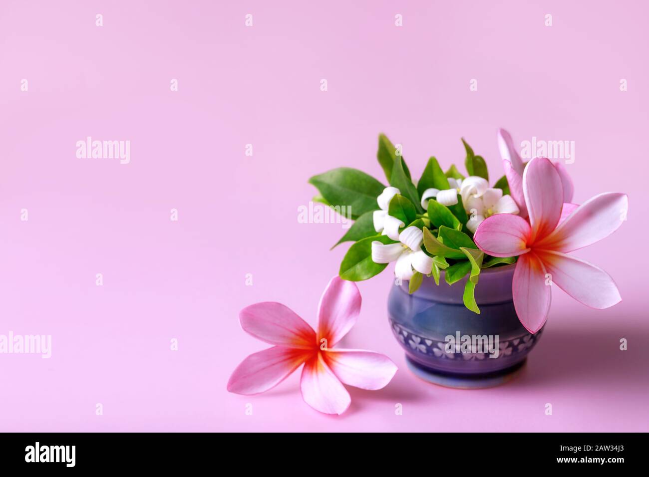 Fiori rosa Frangipani e gelsomino in una piccola tazza di ceramica sullo sfondo rosa. Spazio libero di copia. Foto Stock