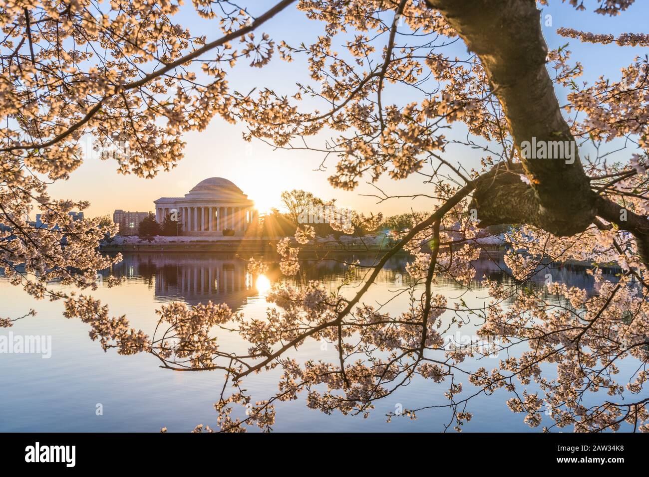 Washington, DC al Tidal Basin e al Jefferson Memorial durante un'alba primaverile. Foto Stock