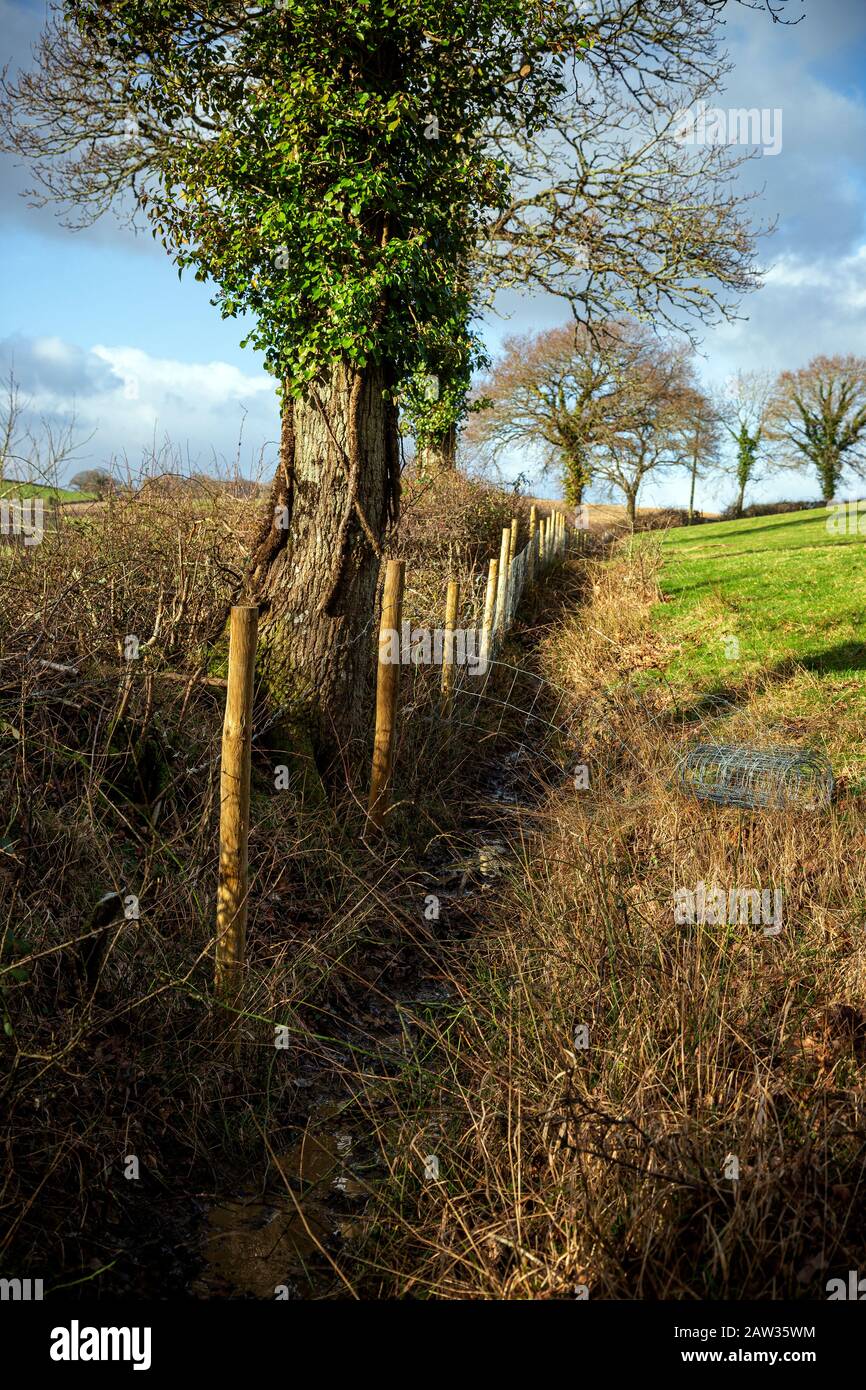 trebbiatura coltivazione agronomica raccolto-elevare, recinzione, recinzione, recinzione posa, recinzione post, geoponica, condivisione-mozzare, suolo cultura, Foto Stock