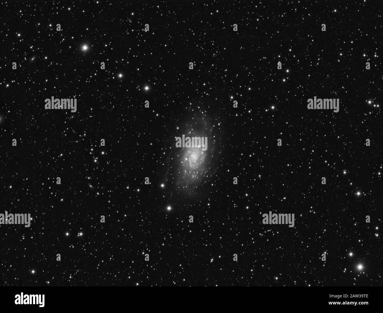 Oggetto cielo profondo, NGC 2403 galassia a spirale intermedia nella costellazione del Camelopardo contro cielo stellato notturno Foto Stock