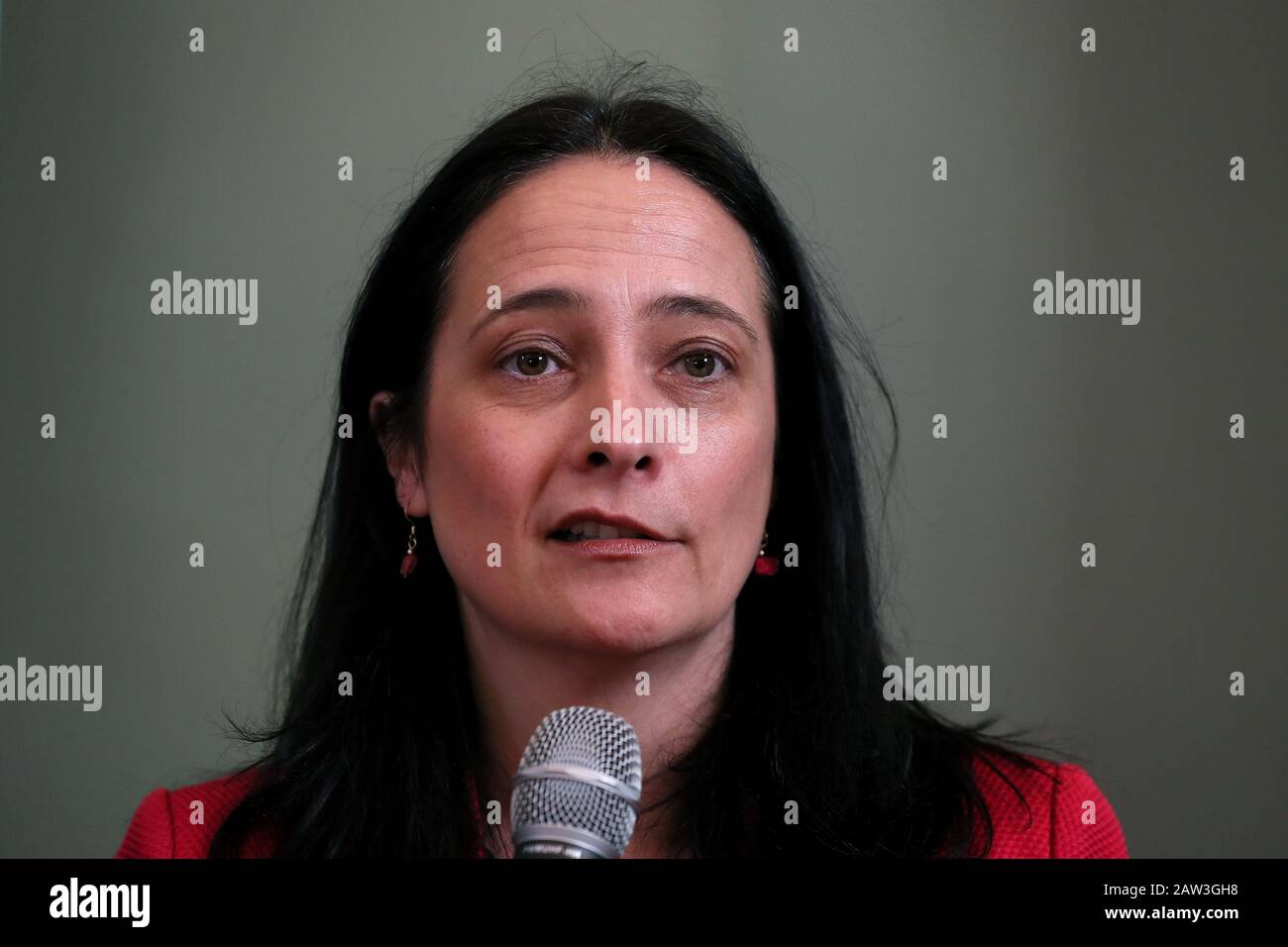 Il vice-capo del partito verde Catherine Martin durante una conferenza stampa per il partito verde alla società georgiana irlandese, William St, Dublino, per la campagna Elettorale generale. Data Immagine: Giovedì 6 Febbraio 2020. Vedi la storia di PA Elezioni IRLANDESI. Photo credit dovrebbe leggere: Brian Lawless/PA Filo Foto Stock