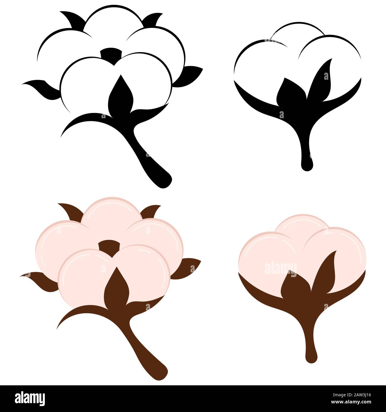 Fiore e palla di cotone isolato su sfondo bianco. Illustrazione Vettoriale