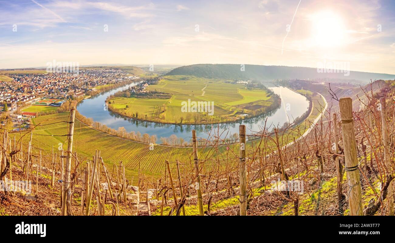 Neckar loop a Hessigheim - panorama nei vigneti Foto Stock