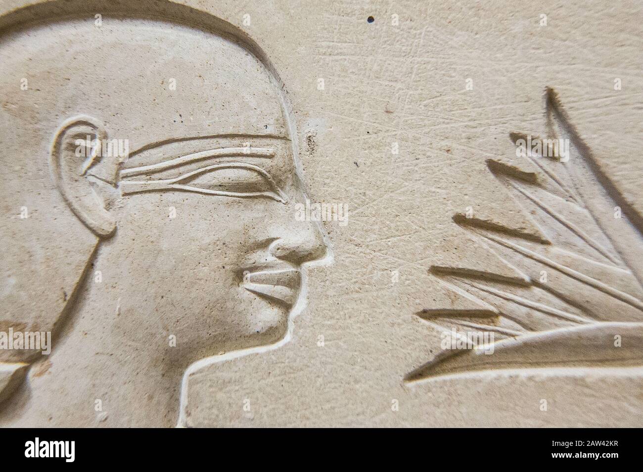 Egitto, Cairo, Museo Egizio, sarcofago della regina Ashait, con alcuni dei migliori rilievi mai scolpiti in Egitto. Ashait era una moglie di Montuhotep. Foto Stock