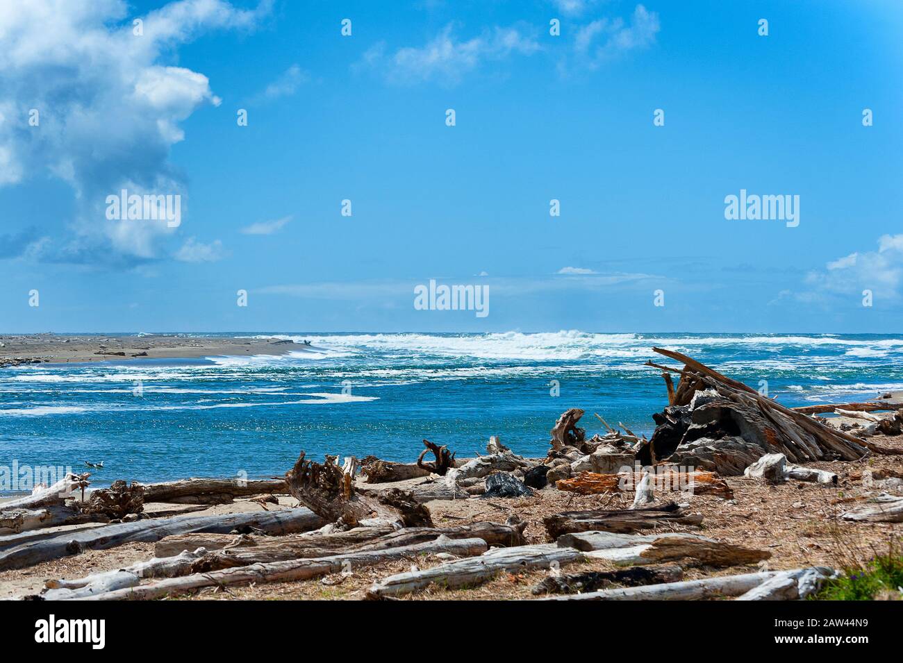 Vista dal litorale del Siletz Bay Park dove driftwood litler la spiaggia con l'orizzonte sopra l'oceano sullo sfondo. Foto Stock