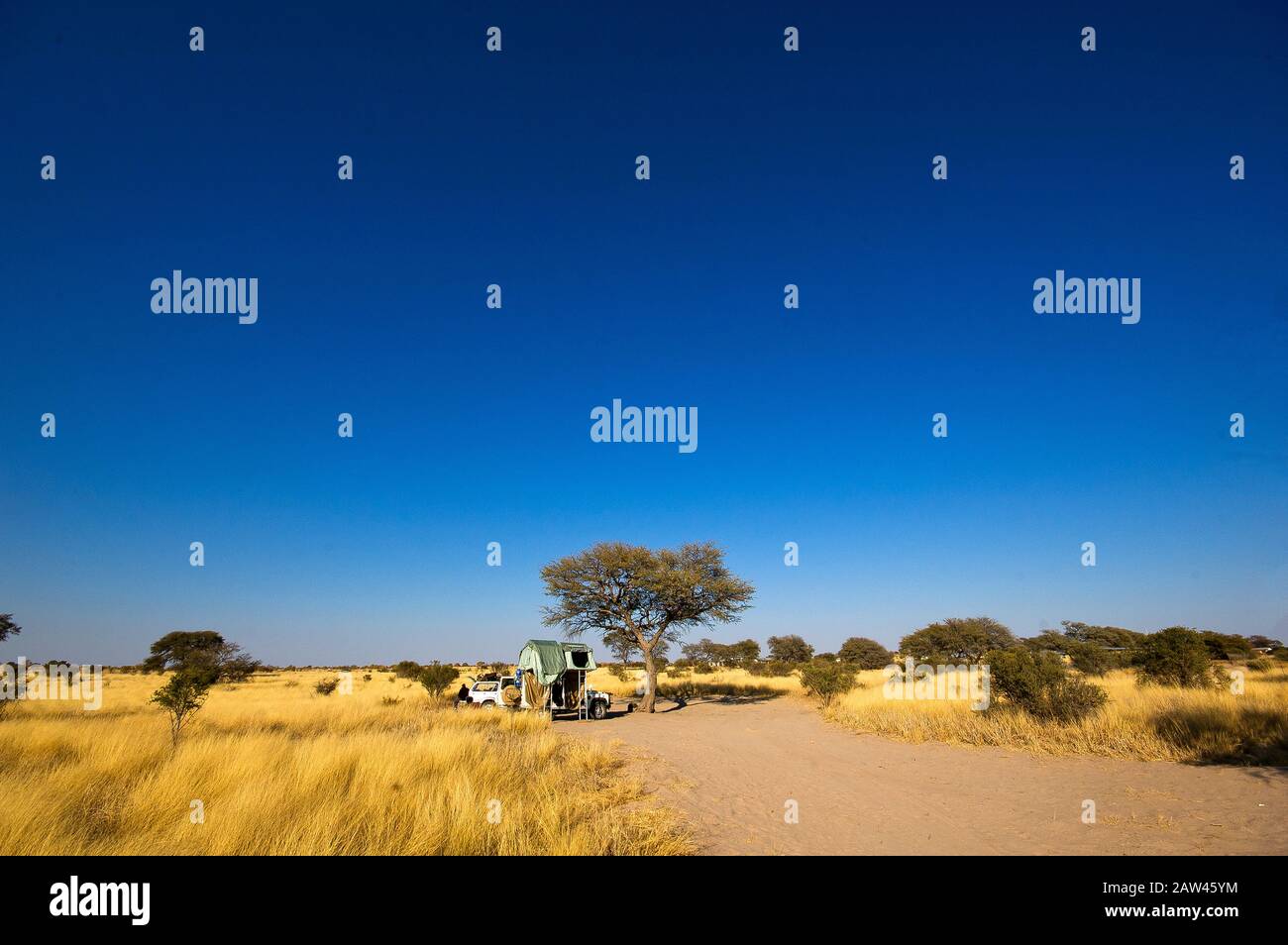 Campeggio circondato da erba dorata a Xade Gate, Central Kalahari Game Reserve, Botswana Foto Stock