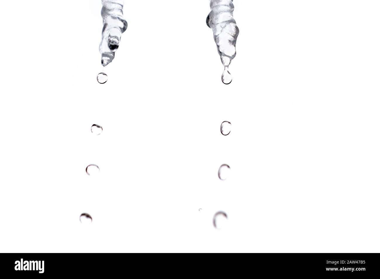Le ghiaccioli trasparenti isolano su sfondo bianco. Tempo di primavera. Gocciolamento dell'acqua di fusione. Foto Stock Le ghiaccioli trasparenti isolano su sfondo bianco. Tempo di primavera. Gocciolamento dell'acqua di fusione. Foto Stock