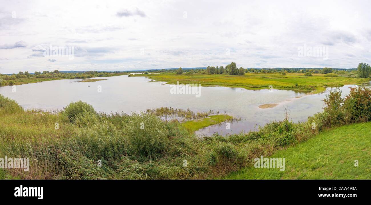 Isola degli uccelli di Altmuehlsee, Baviera, Germania - Vogelfreistaette Flachwasser- und Inselzone im Altmuehlsee Foto Stock