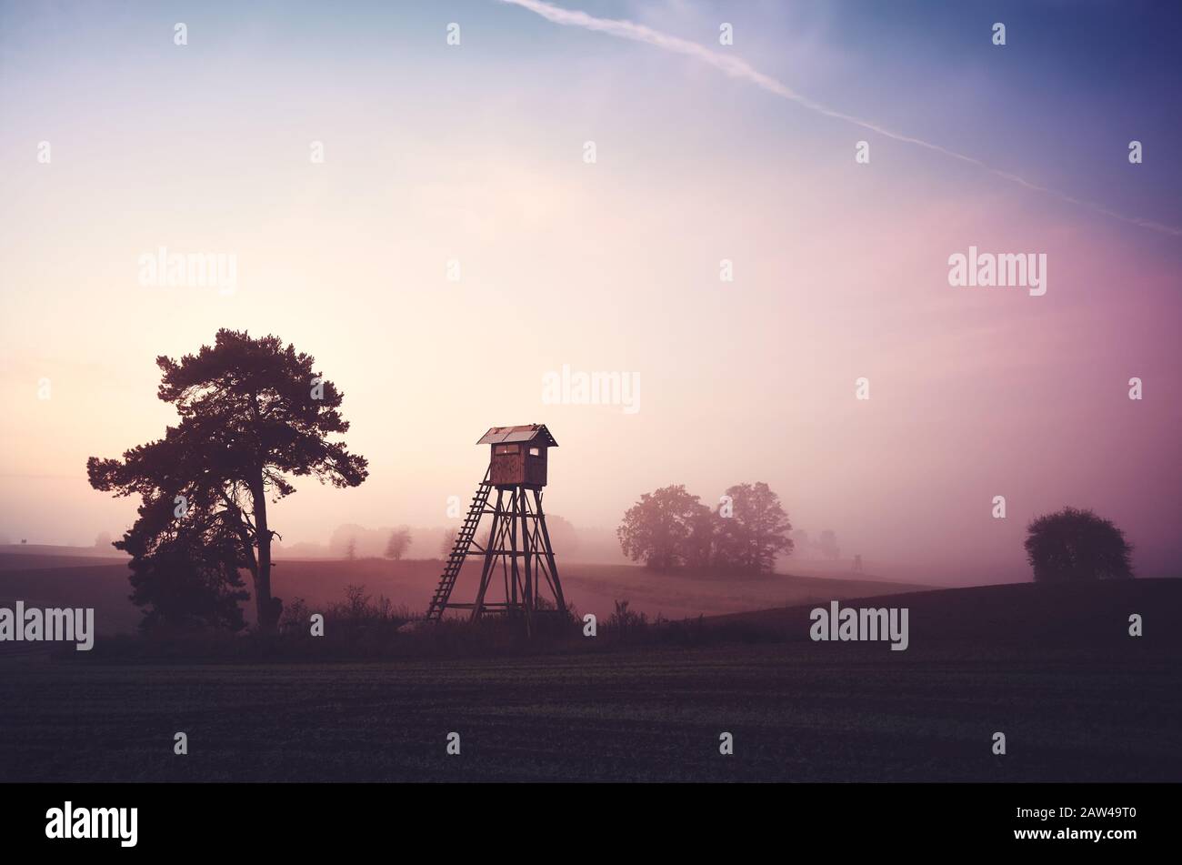Paesaggio rurale con silhouette di torre di caccia su un campo all'alba. Foto Stock