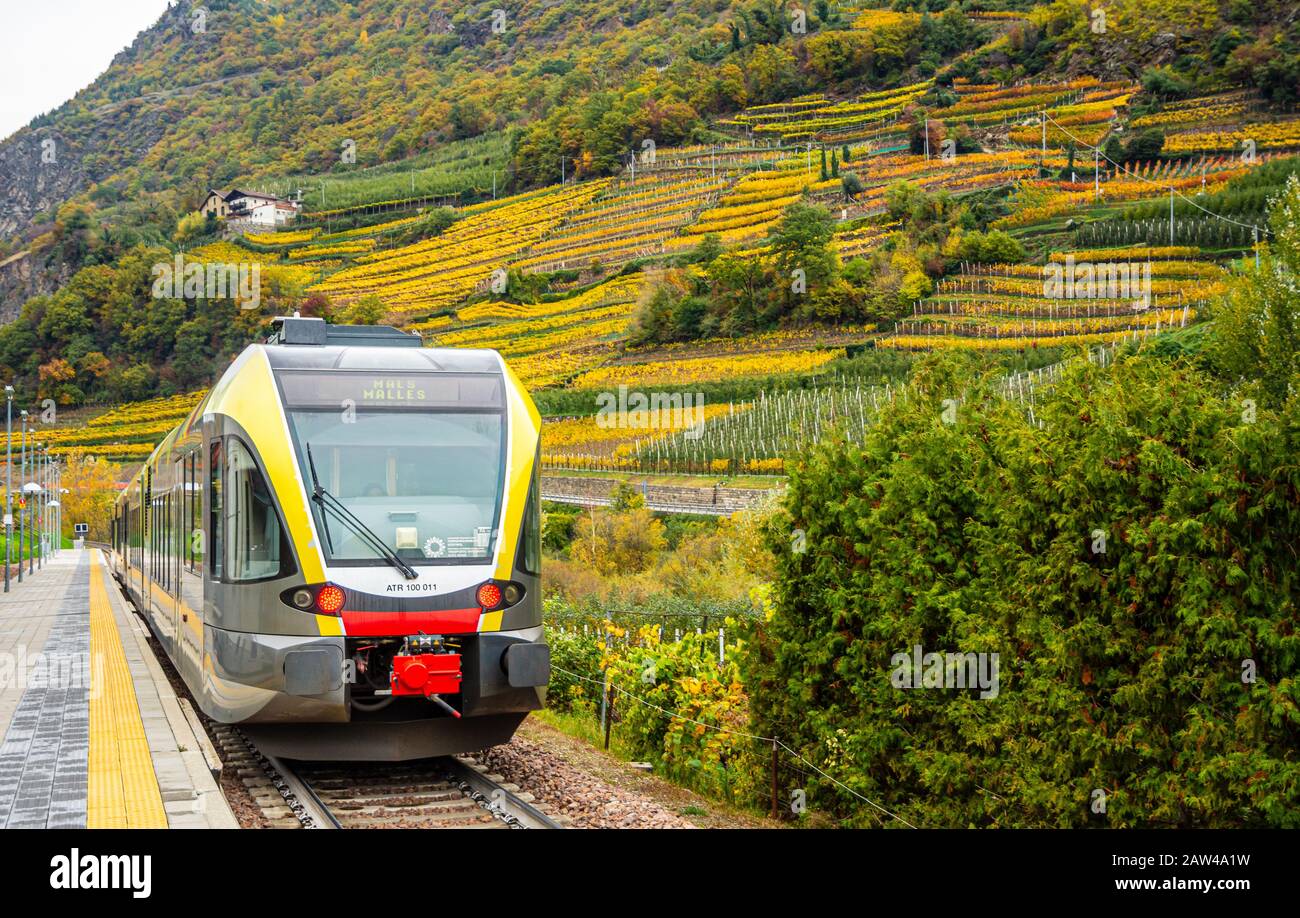 Linea ferroviaria in un paesaggio autunnale dell'Alto Adige, Val Venosta, Trentino Alto Adige, Italia settentrionale Foto Stock