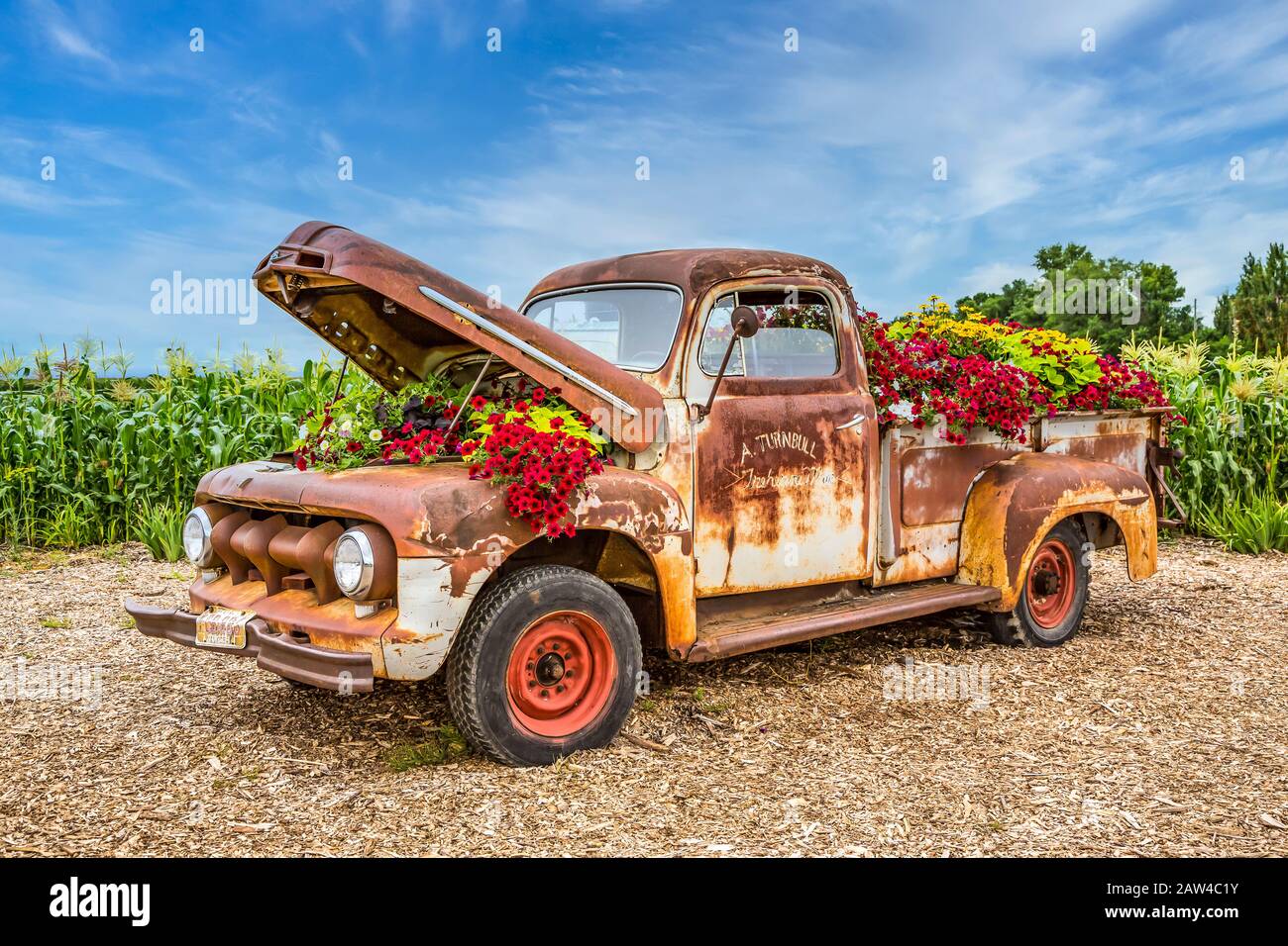 Il Parkside Pioneer Patch mostra di vecchi attrezzi e veicoli con fiori a Winkler, Manitoba, Canada. Foto Stock