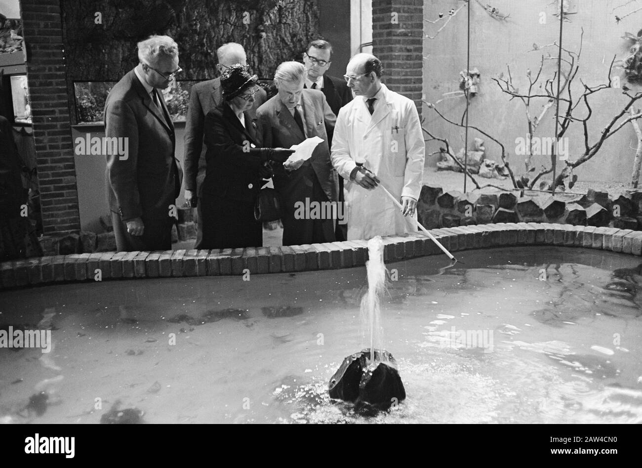 Corte Seduta in acquario marino a Bergen durante il tour mr On Her, MS De Keijzer dietro il Sig. F. van der Dussen Data:... 2 giugno 1964 posizione: Montagna Foto Stock