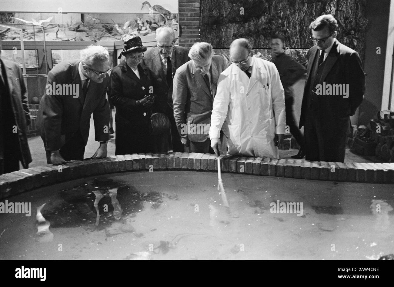 Campo Seduto in acquario marino a Bergen, la corte durante il tour Data: 2 giugno 1964 posizione: Montagne Parole Chiave: Visite turistiche, corti Foto Stock