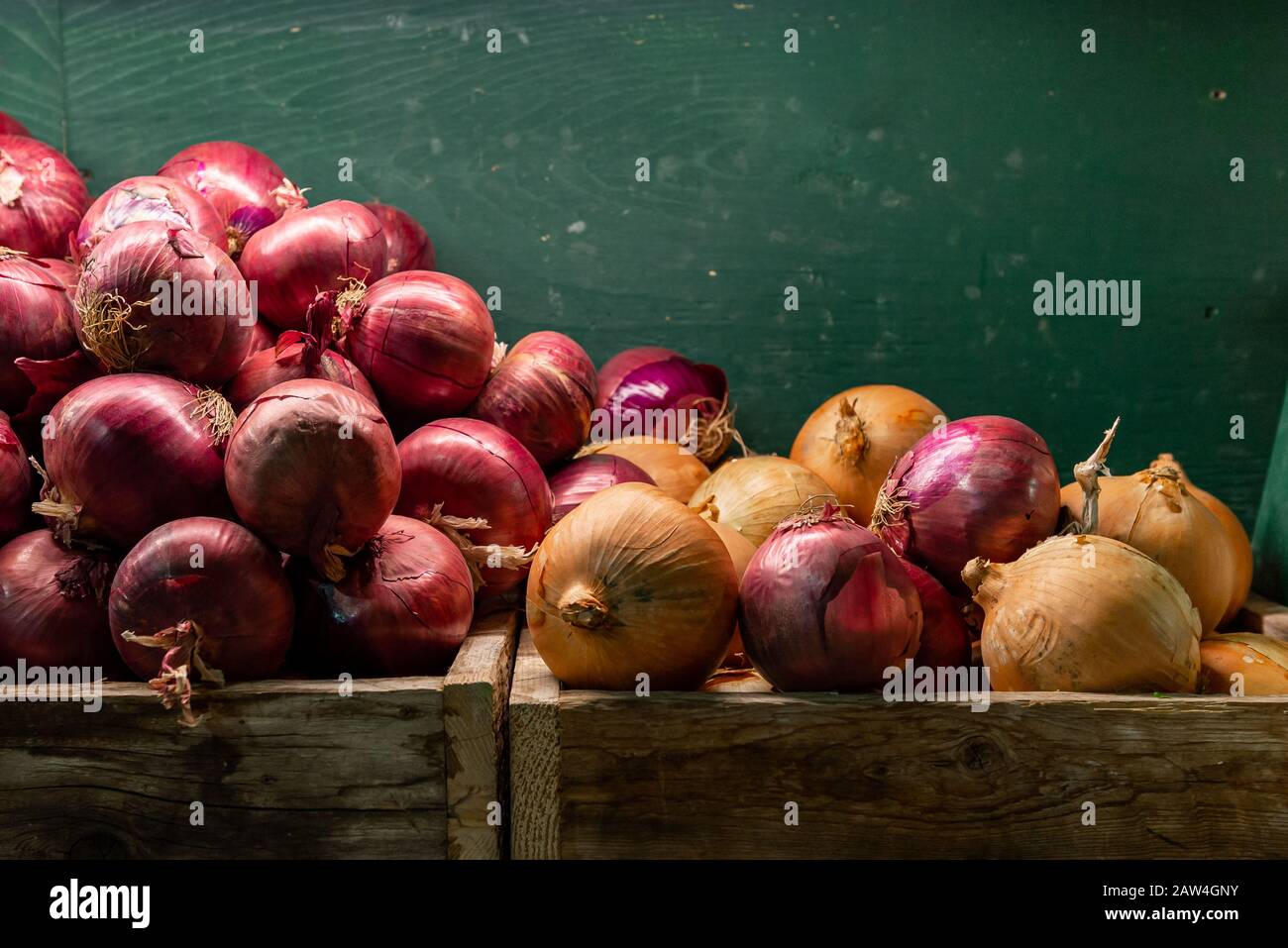 Cipolle rosse e gialle accatastate in scatole di legno inclinate verso il basso con sfondo verde, stanza in alto per scrivere Foto Stock