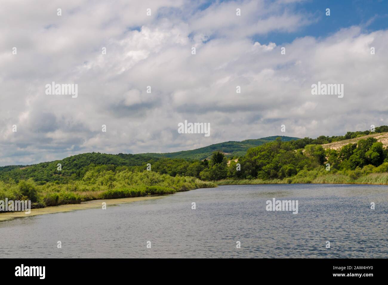 Vista dal tranquillo fiume su alberi verdi e cespugli sullo sfondo di alte montagne rocciose nel bel mezzo di una giornata di sole. Grandi nuvole bianche dentro Foto Stock
