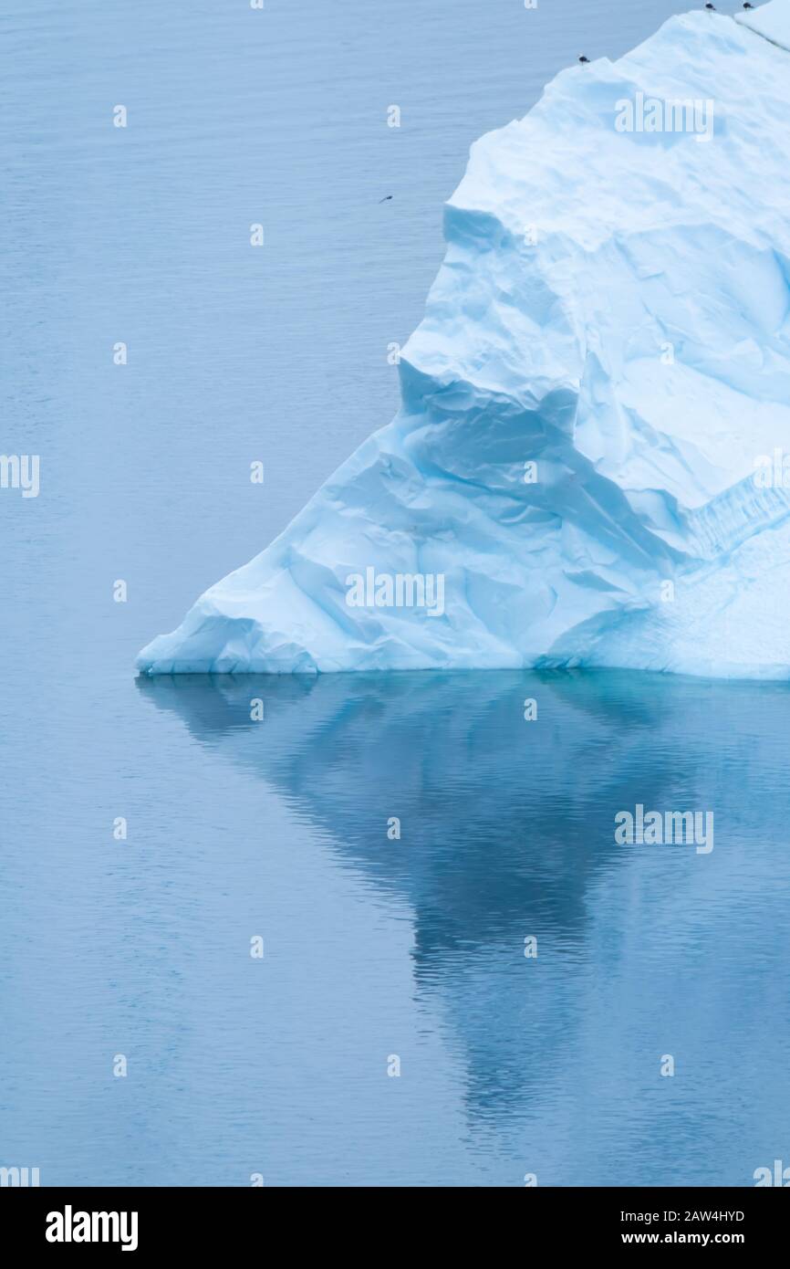 Splendidi iceberg in splendidi paesaggi ghiacciati, la Baia di Chiriguano, l'Isola di Danko, la Penisola Antartica Foto Stock