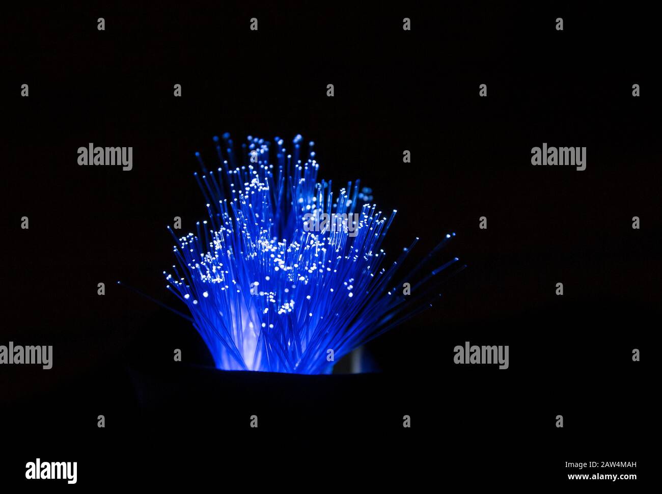 La fibra ottica, il concetto di materiale del filo del Internet, trasporta i segnali di luce per gli scopi di telecomunicazione. Tubi di vetro che si illuminano al buio. Foto Stock
