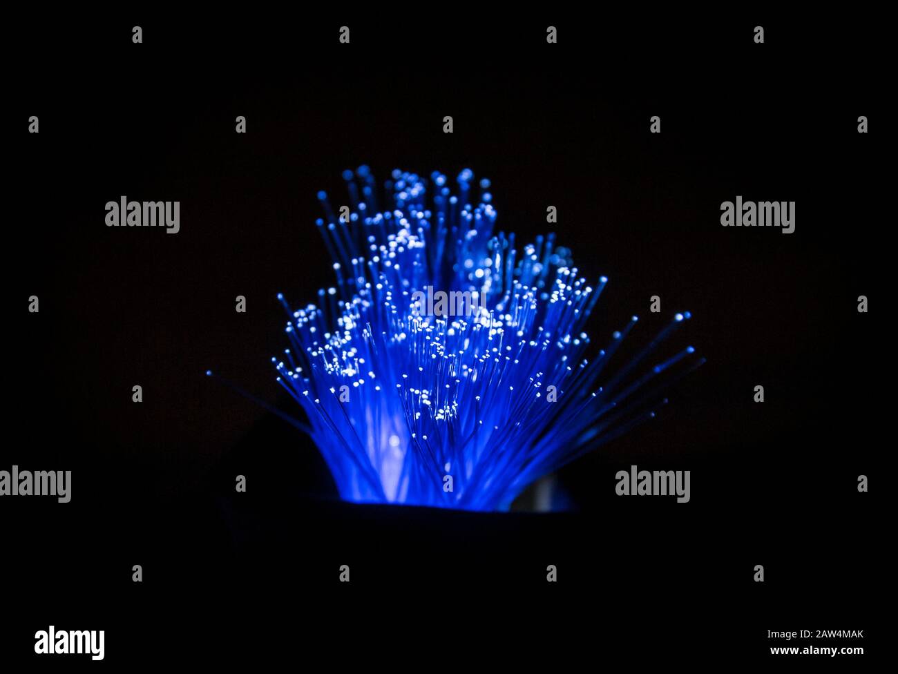La fibra ottica, il concetto di materiale del filo del Internet, trasporta i segnali di luce per gli scopi di telecomunicazione. Tubi di vetro che si illuminano al buio. Foto Stock