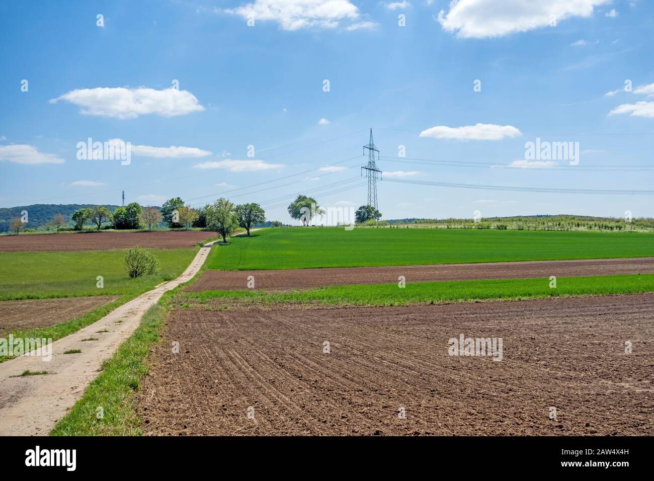 paese corsia attraverso terreni agricoli, campo arato, alberi da parte Foto Stock