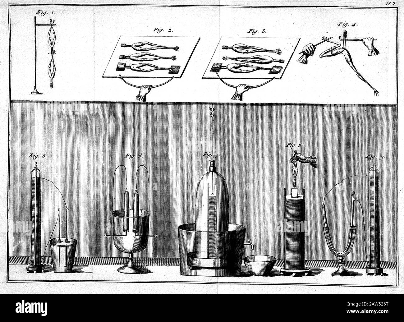 1804 , GRAN BRETAGNA : esperimento animale con elettricità , Piastra 7 , illustrazione del libro ' Essai theorique et experimental sur le galvanisme ' b Foto Stock