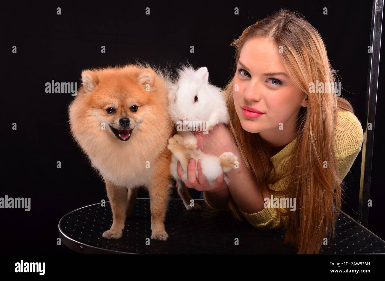 Giovane, parrucchiere grazioso dell'animale domestico che posa con il cane Pomeranian ed il coniglio bianco Foto Stock