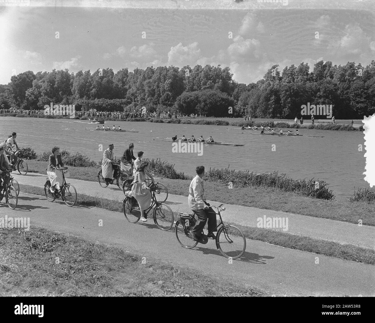 Nazionale Campione Di Tosatura Pecora Bosbaan Signore. Panoramica Data: 20 Luglio 1953 Località: Amsterdam, Amsterdam Forest, Bobaan, North Holland Foto Stock