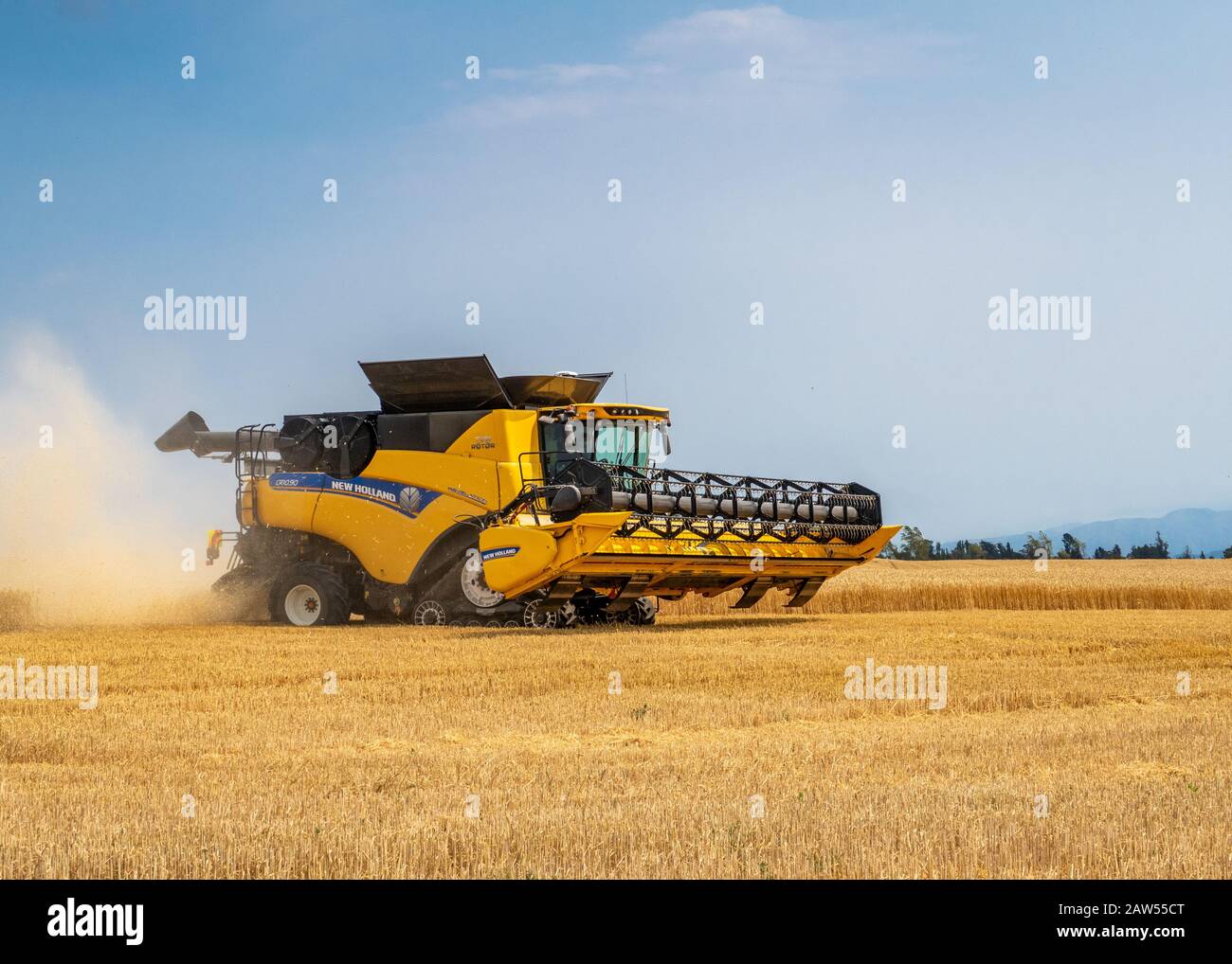 Canterbury, Nuova Zelanda, 2 febbraio 2020: Mietitrebbia New Holland che lavora in un campo di orzo in estate Foto Stock