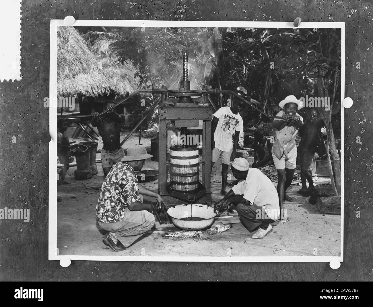 Olio di palma con forza manuale creato Annotazione: Repro Negativo Data: 20 gennaio 1958 Località: Liberia Foto Stock