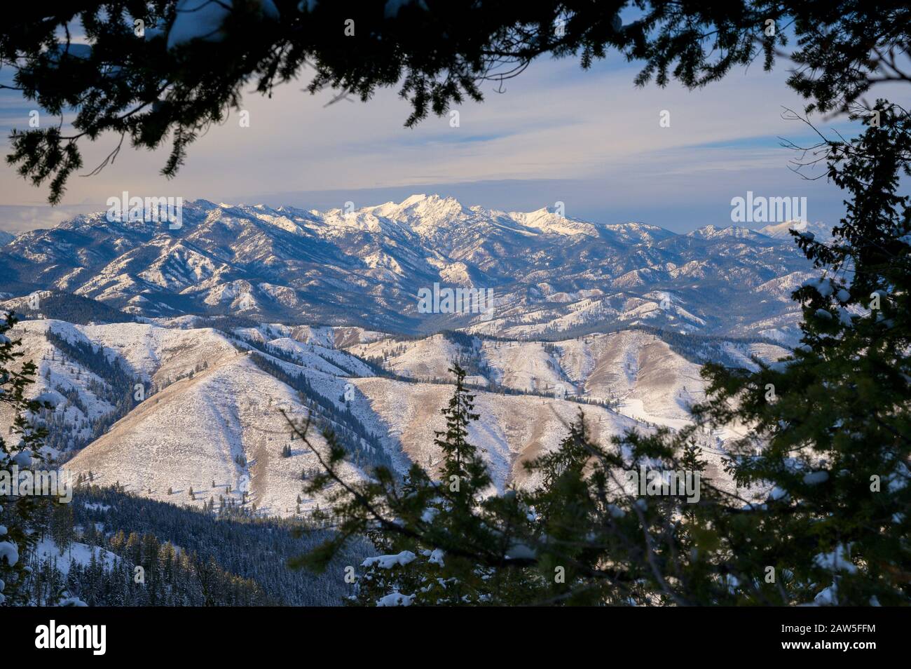 Montagne coperte di neve incorniciate da arti dell'albero Foto Stock