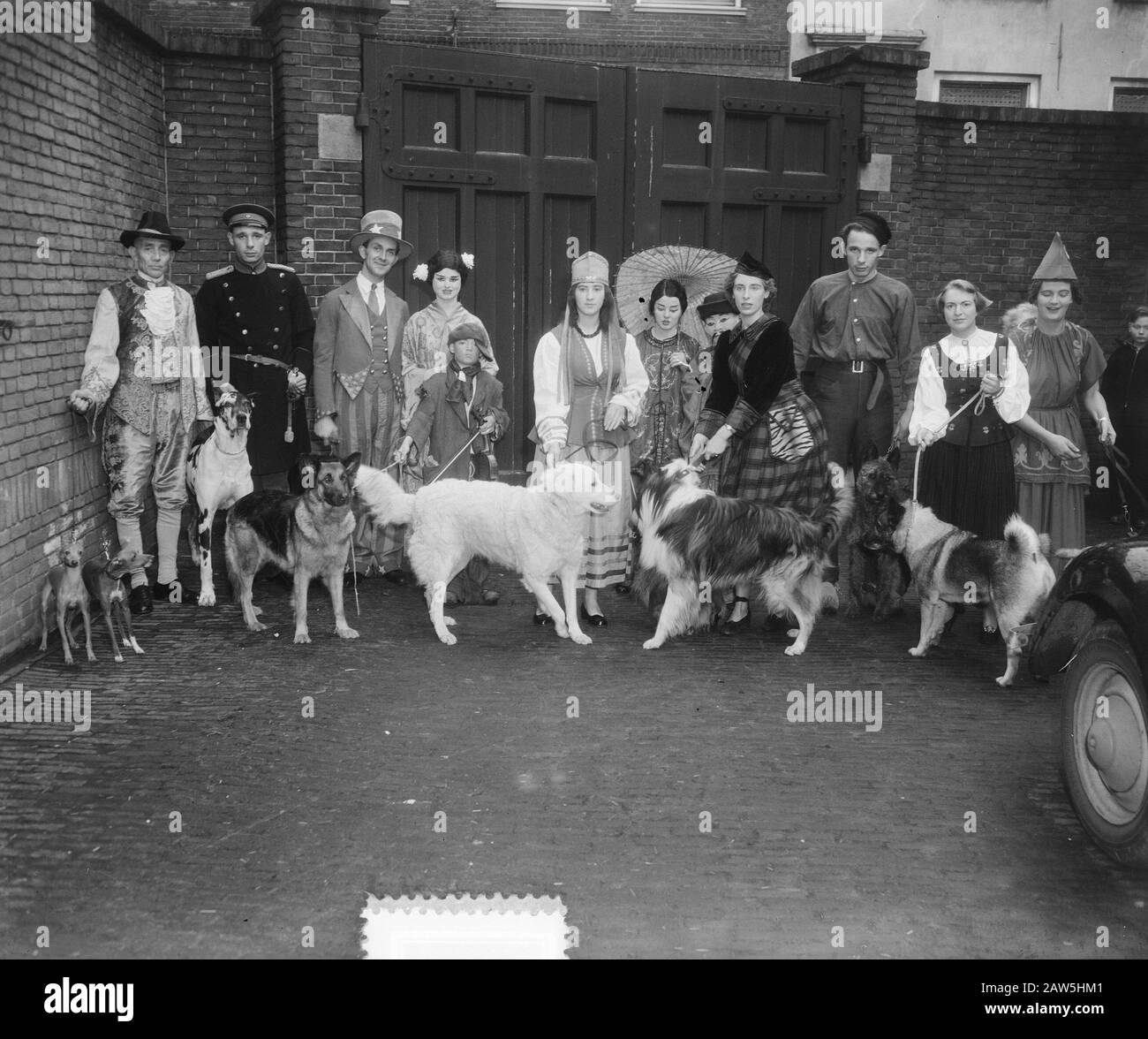 Dog Show Utrecht Data: 9 Novembre 1952 Località: Utrecht Foto Stock