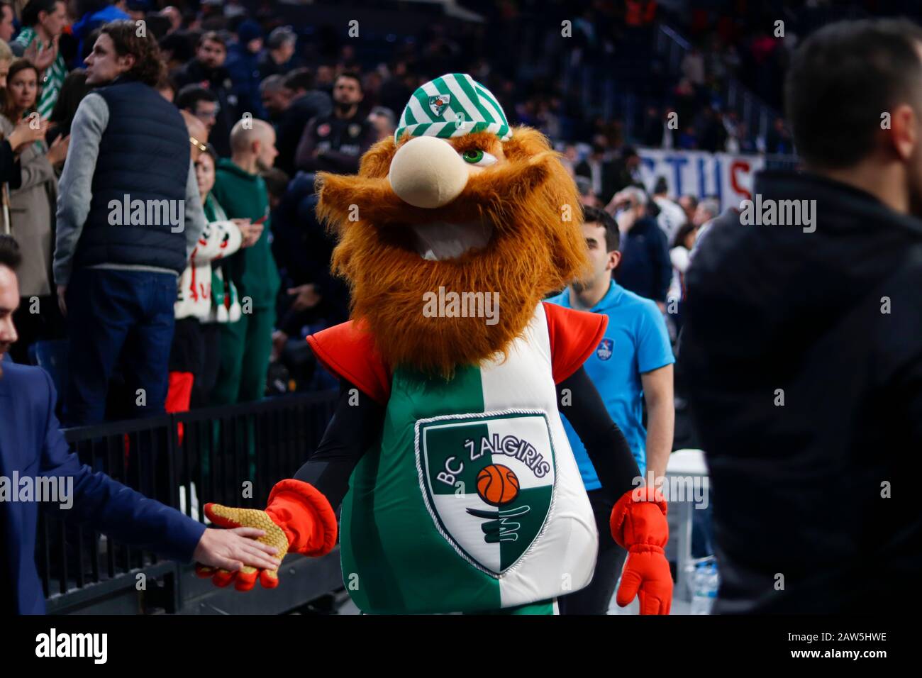 Istanbul / TURCHIA - 7 FEBBRAIO 2020: Team mascotte di Zalgiris Kaunas Zalgirinis durante Euroleague 2019-20 round 24 gioco di basket tra Anadolu Efes e Zalgiris Kaunas al Sinan Erdem Dome. Foto Stock