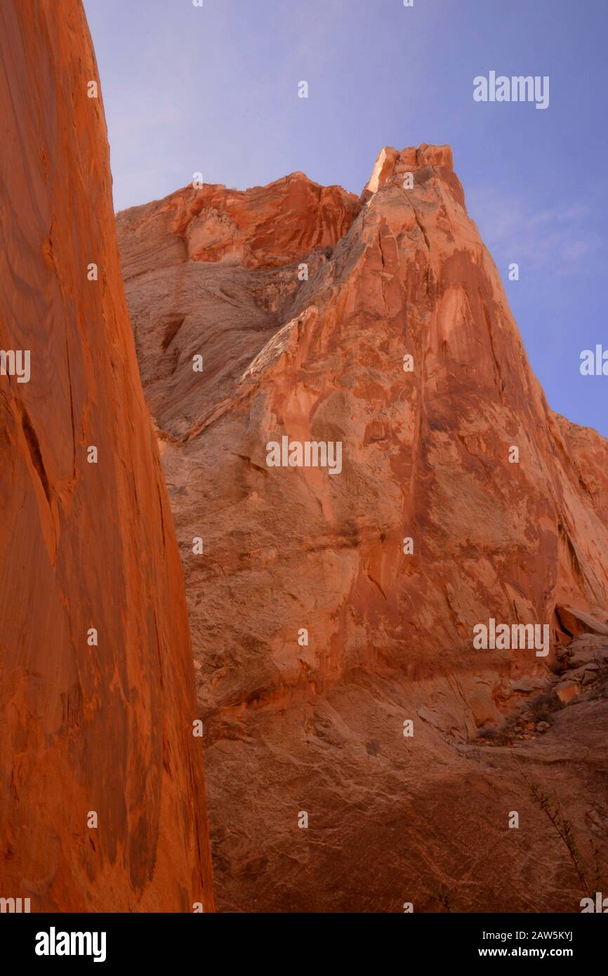 Il canyon si illumina di luce riflessa nel Brimhall Canyon. Foto Stock