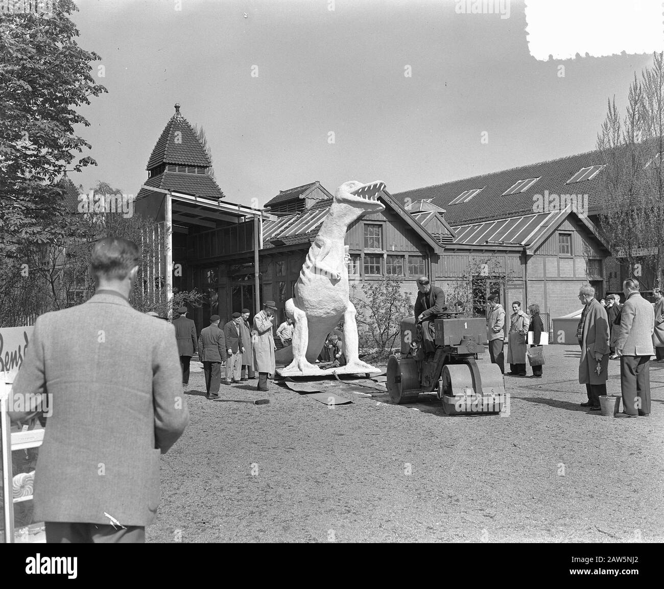Nuovo arrivo Artis a tirannosaurus Data: 7 maggio 1954 Nome istituzione: Artis Foto Stock