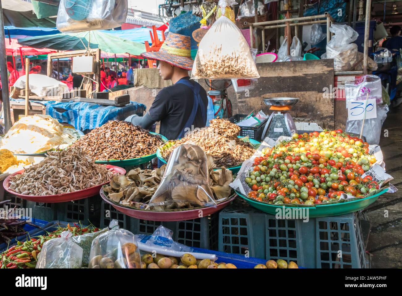 Bangkok, Thailandia - Gennaio 9th 2020: Stallo alimentare che vende insetti, pomodori e funghi sul mercato umido Khlong Toei. Questo è il più grande mercato umido nel Foto Stock