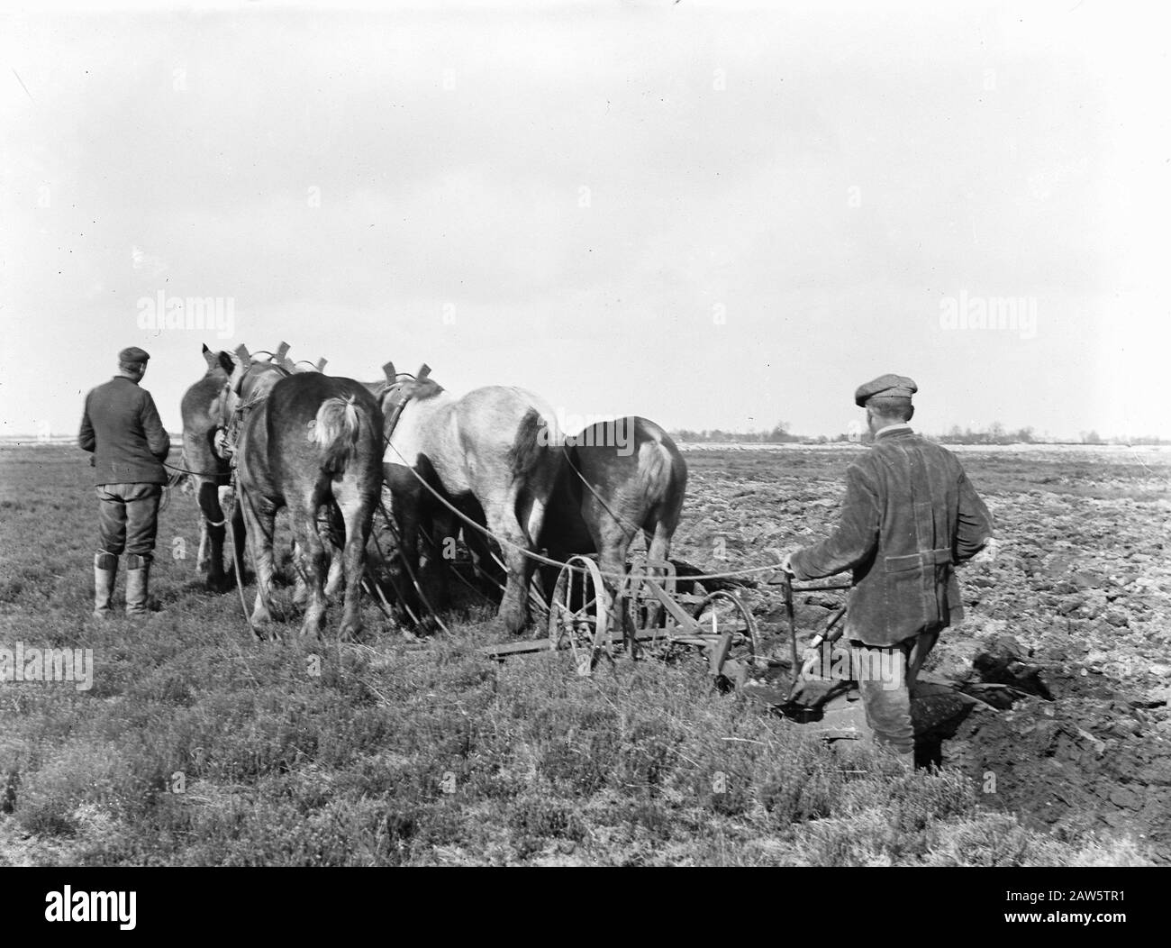 Miniere, suolo, livellamento, levigatura, lavoratori, cavalli, aratura Data: Parole Chiave non utilizzate: Lavoratori, levigatura, livellamento, coltivazione, coltivazione, cavalli, aratura : Sconosciuto / Heidemij Copyright Titolare: National Archives Materiale tipo: Vetro Negativo numero di inventario: Vedi accesso 2.24.06.02 Foto Stock