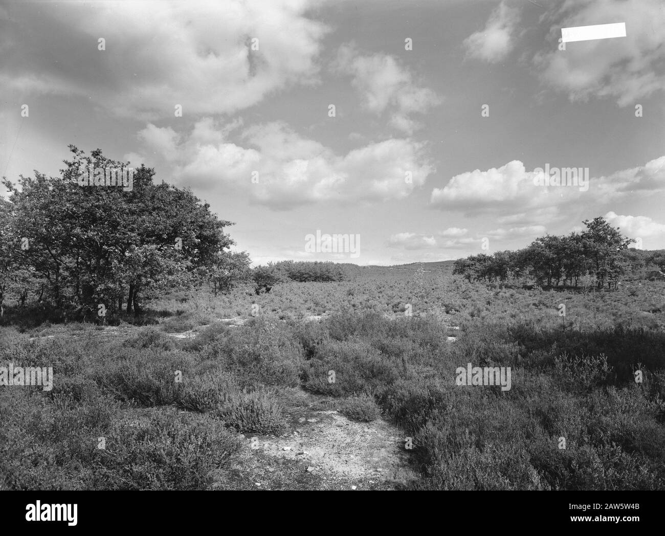 Paesaggi, natura Data: Parole Chiave dense: Paesaggi, natura Foto Stock