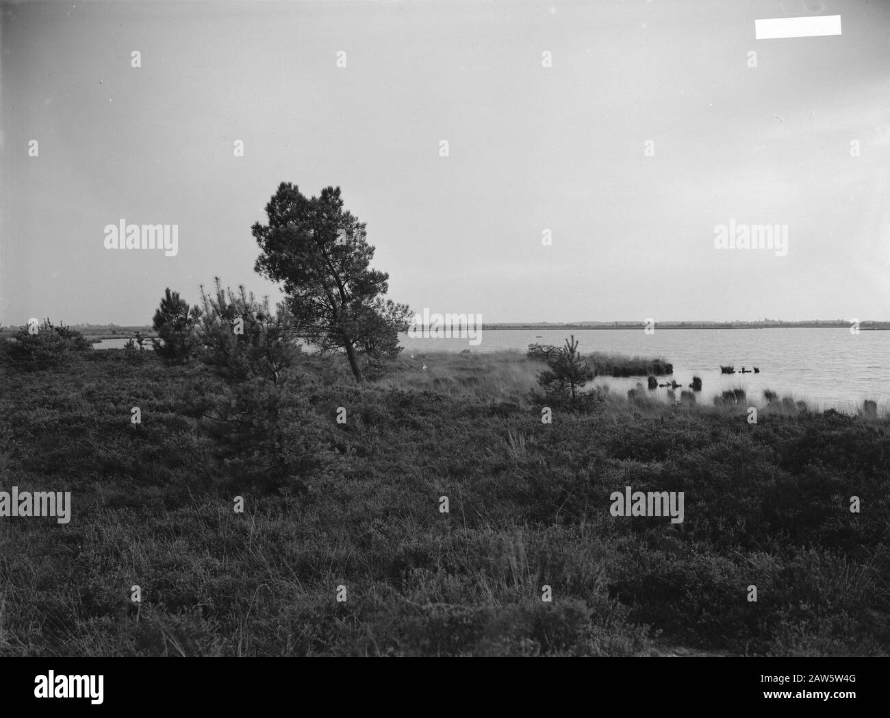 Paesaggi, natura, laghi Data: Parole Chiave dense: Paesaggi, natura, laghi Foto Stock