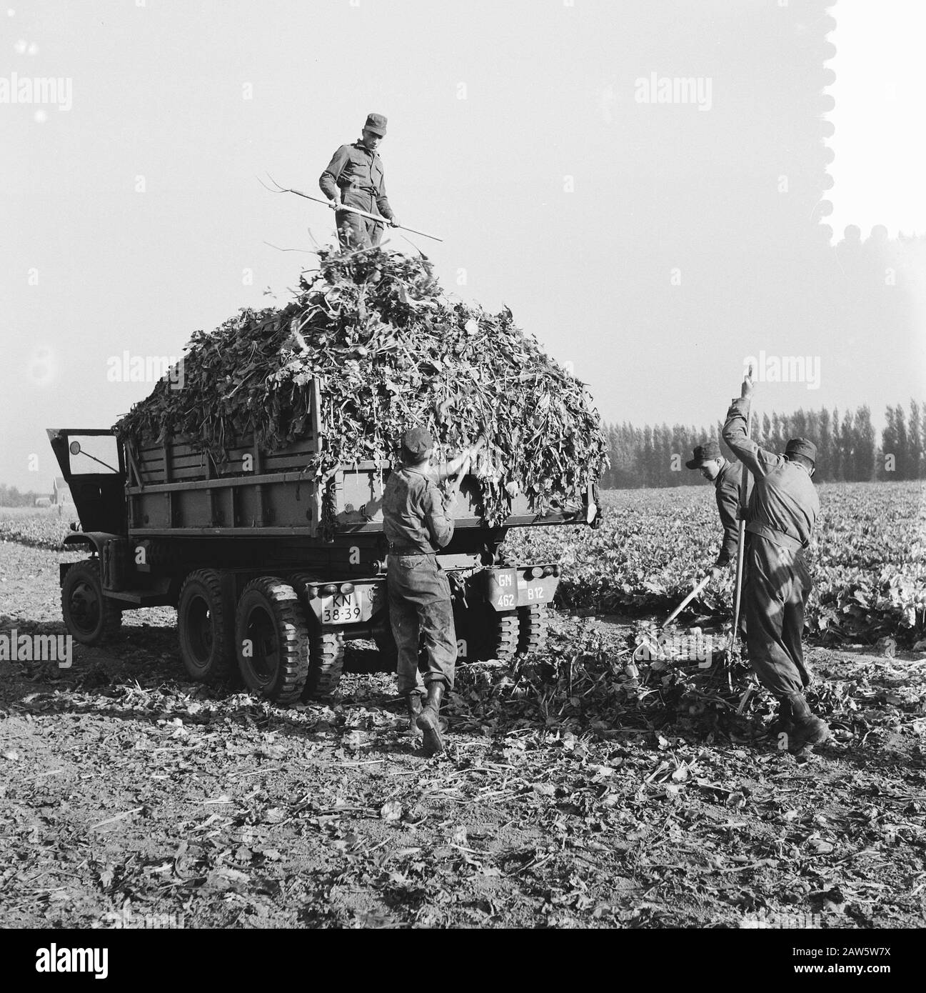 Soldiers Get Transportation to Weert Date: October 6, 1959 Location: Limburg, Weert Keywords: Soldiers Foto Stock