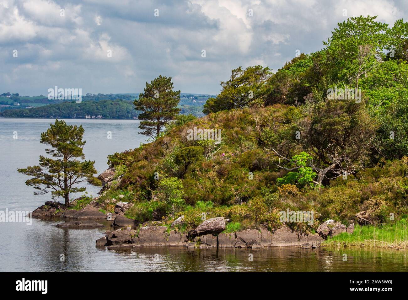 Lago Di Lough Leane, Killarney National Park, County Kerry, Irlanda, Europa Foto Stock