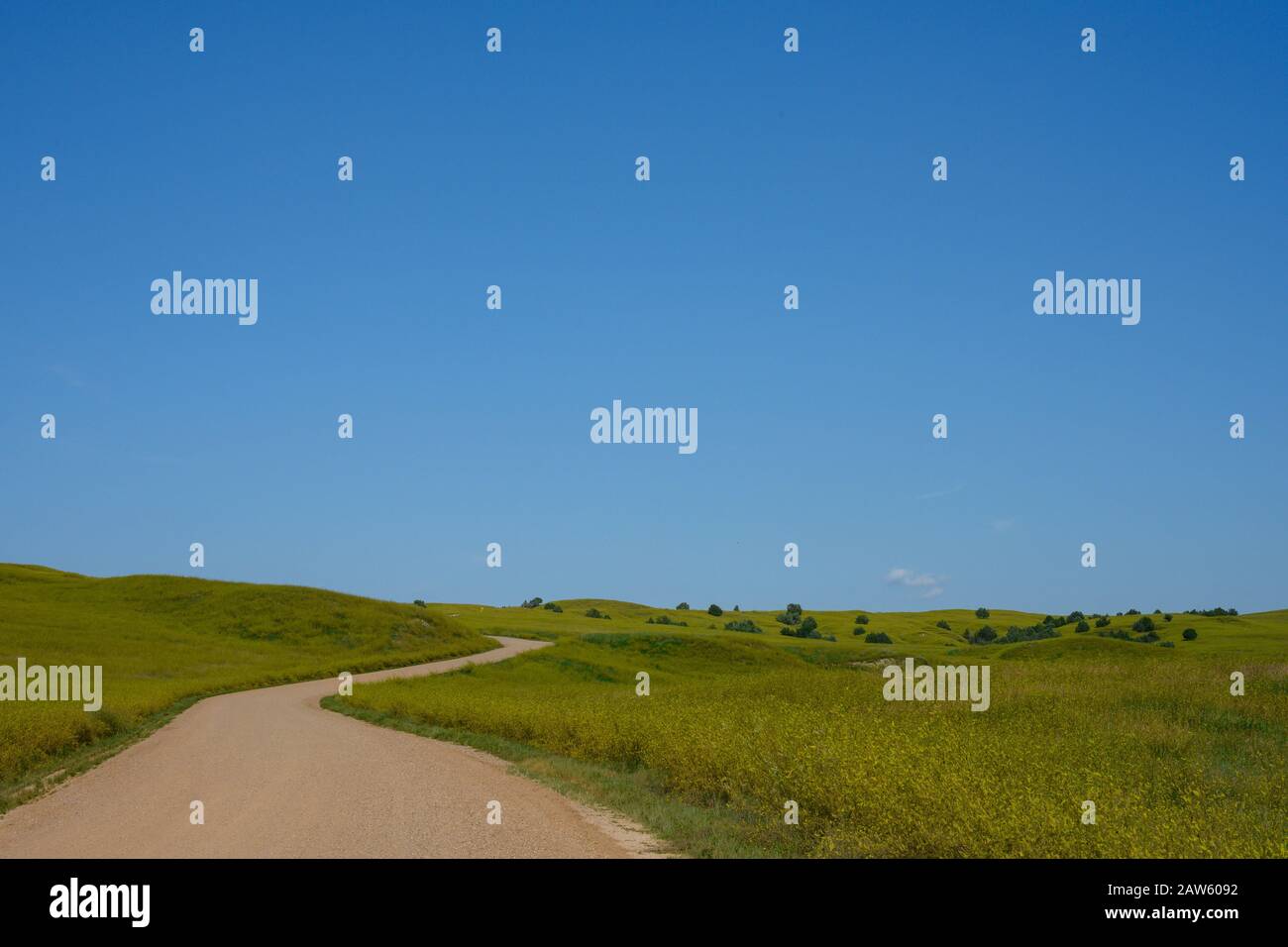 Dirt Road Sul Lato di Badlands Fields in estate Foto Stock