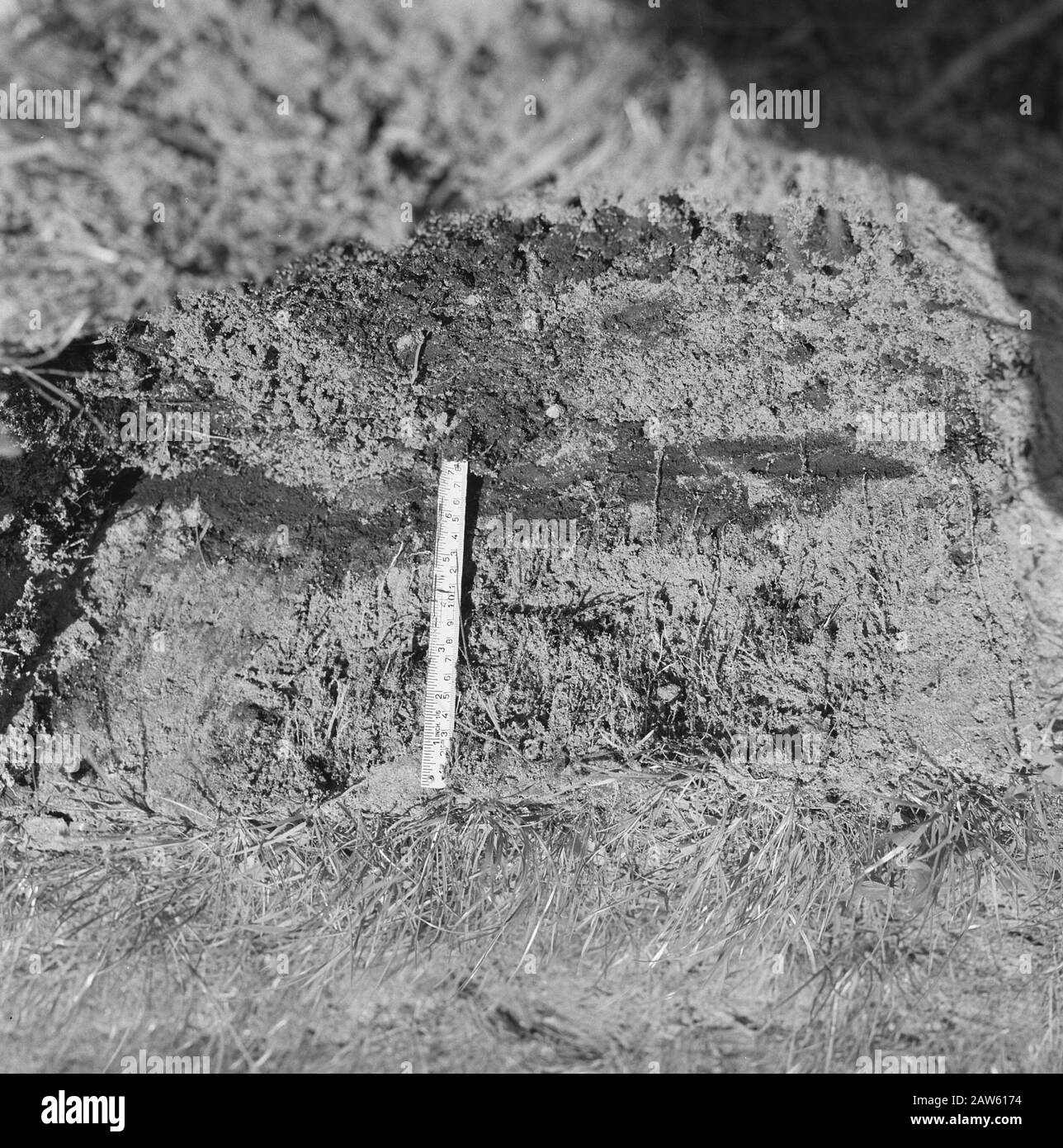 Miniere, suolo, livellamento, levigazione, strumenti di misura, erbe, Haerst, Gennevilliers Data: Settembre 1957 luogo: Gennevilliers, Haerst Parole Chiave: Levigazione, livellamento, erbe, dissodamento, strumenti di misura, estrazione mineraria Foto Stock