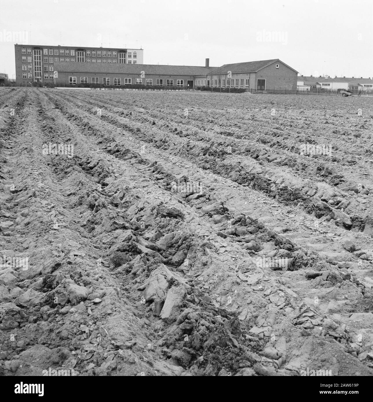 Con originale ferguson subsoiler Data: Maggio 1962 Parole Chiave: Levigatura, aziende agricole, livellamento, coltivazione, coltivazione, terra Foto Stock