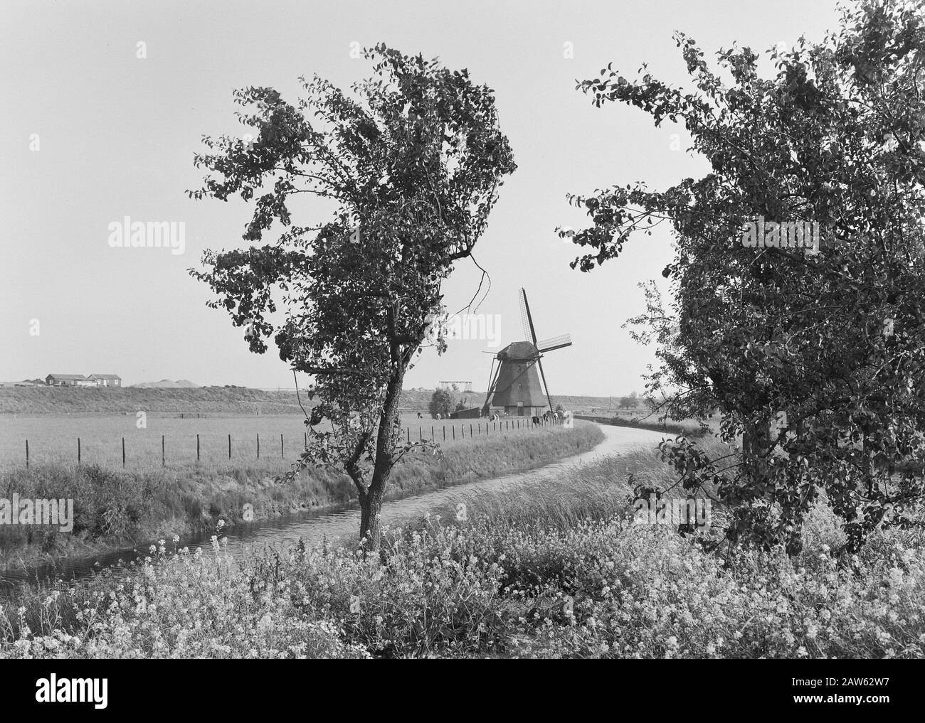 Normalizzazione dei flussi, scavo e riempimento in trincee, posa di scarichi, tombini e siepe, tubi, smerigliatrici, ordighe Data: Non data: Luogo: Geldermalsen, Telerwaard Parole Chiave: Subacquei e siepe, scavo e riempimento in trincee, posa scarichi, tubi, smerigliatrici, normalizzazione dei flussi Nome Persona: Ophemartoewetering Foto Stock