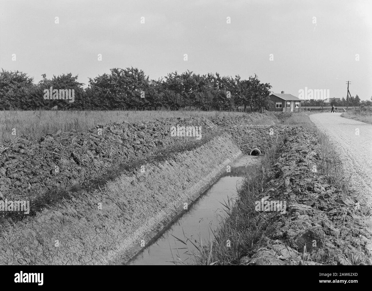 Normalizzazione dei flussi, scavo e riempimento in trincee, posa fognature, tombini e siepi, tubi, Estl Data: Unundated Località: Estl, Gelderland, Telerwaard Parole Chiave: Subacquei e siepe, scavo e riempimento in trincee, posa fognature, tubi, normalizzazione dei flussi Foto Stock