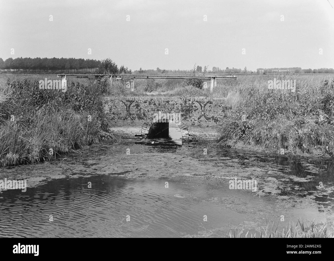 Linea i / artwork 13 Data: Unundated luogo: Gelderland, Opijnenl, Telerwaard Parole Chiave: Subacquei e siepe, scavo e riempimento in trincee, strutture, posa scarichi, tubi, normalizzazione dei flussi Foto Stock