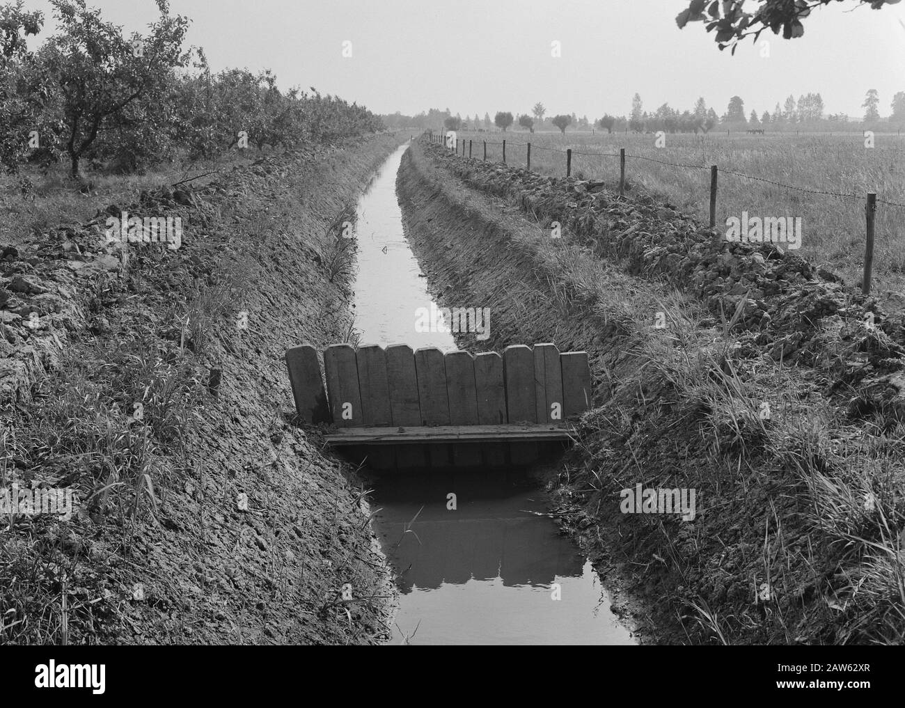 Linea 49 Data: Undata luogo: Estl, Gelderland, Telerwaard Parole Chiave: Subacquei e siepe, scavo e riempimento in trincee, posa scarichi, tubi, normalizzazione dei flussi Foto Stock