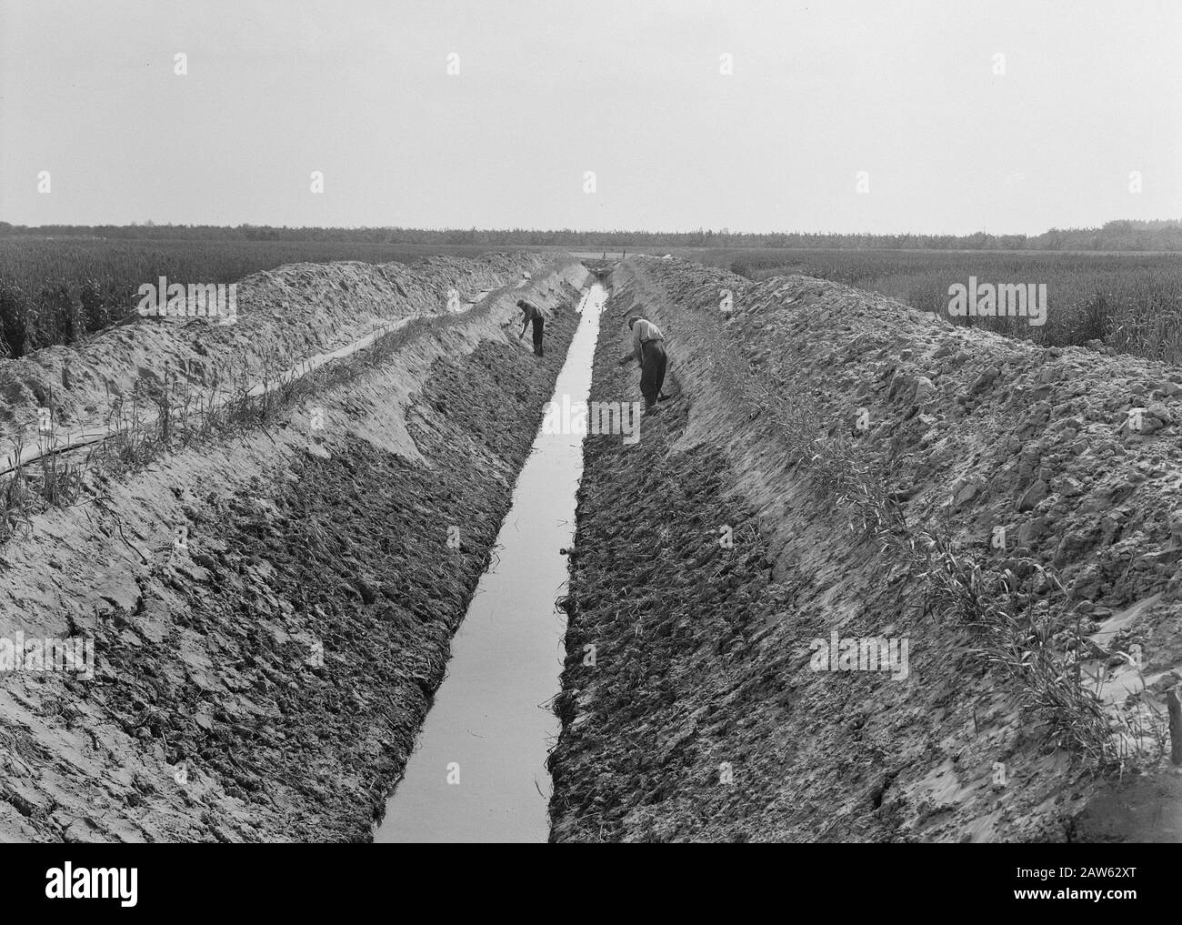 Linea 97 Data: Unundated luogo: Gelderland, Telerwaardl Parole Chiave: Lavoratori, siepe, subacquei e siepe, scavo e riempimento in trincee, posa scarichi, tubi, ruscelli di standardizzazione, pile di lavoro Foto Stock