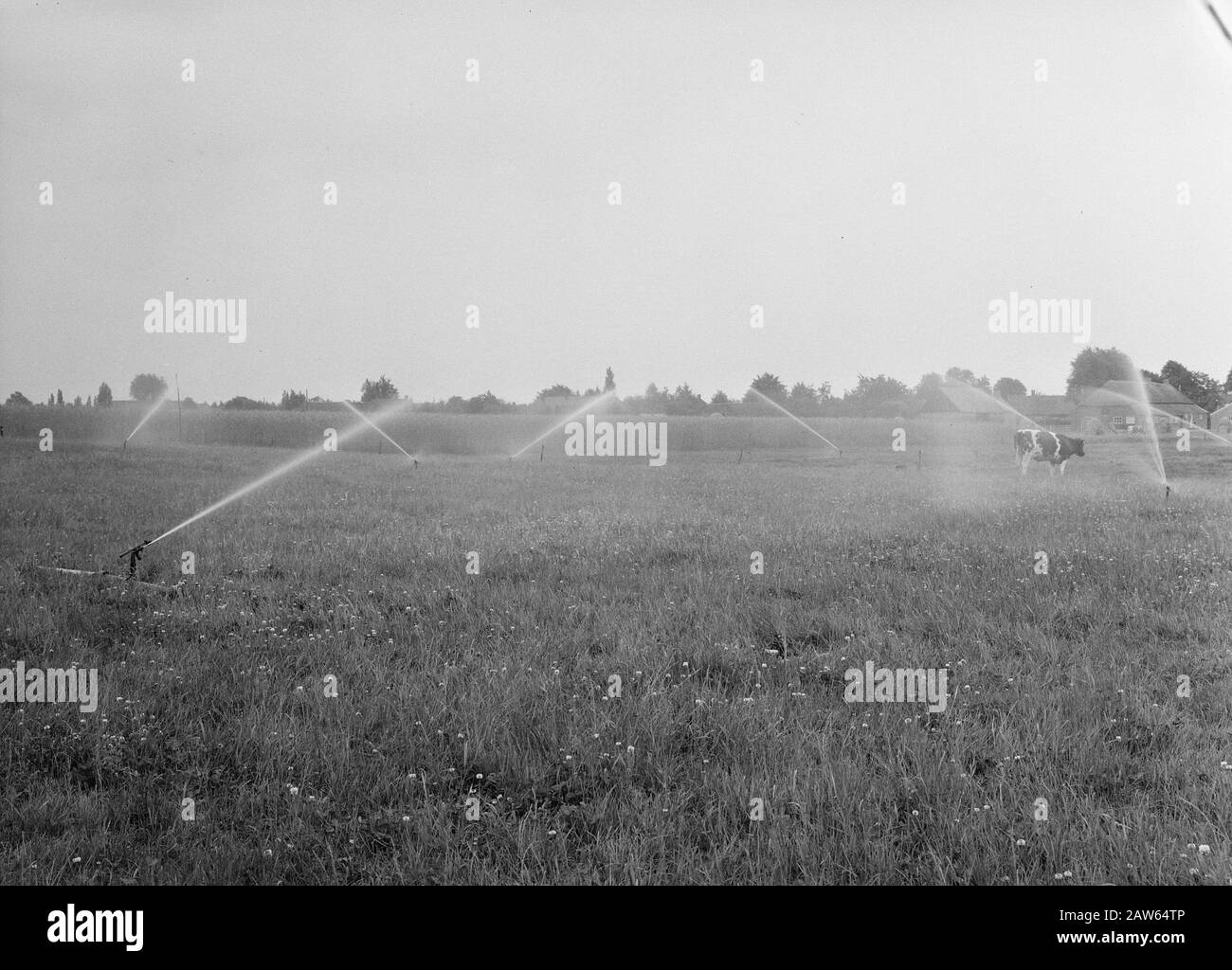 Macchine agricole, attrezzature, impianti di irrigazione Data: Non specificata posizione: Noord-Brabant, Someren Parole Chiave: Sistemi di irrigazione, macchine agricole, utensili Foto Stock Macchine agricole, attrezzature, impianti di irrigazione Data: Non specificata posizione: Noord-Brabant, Someren Parole Chiave: Sistemi di irrigazione, macchine agricole, utensili Foto Stock